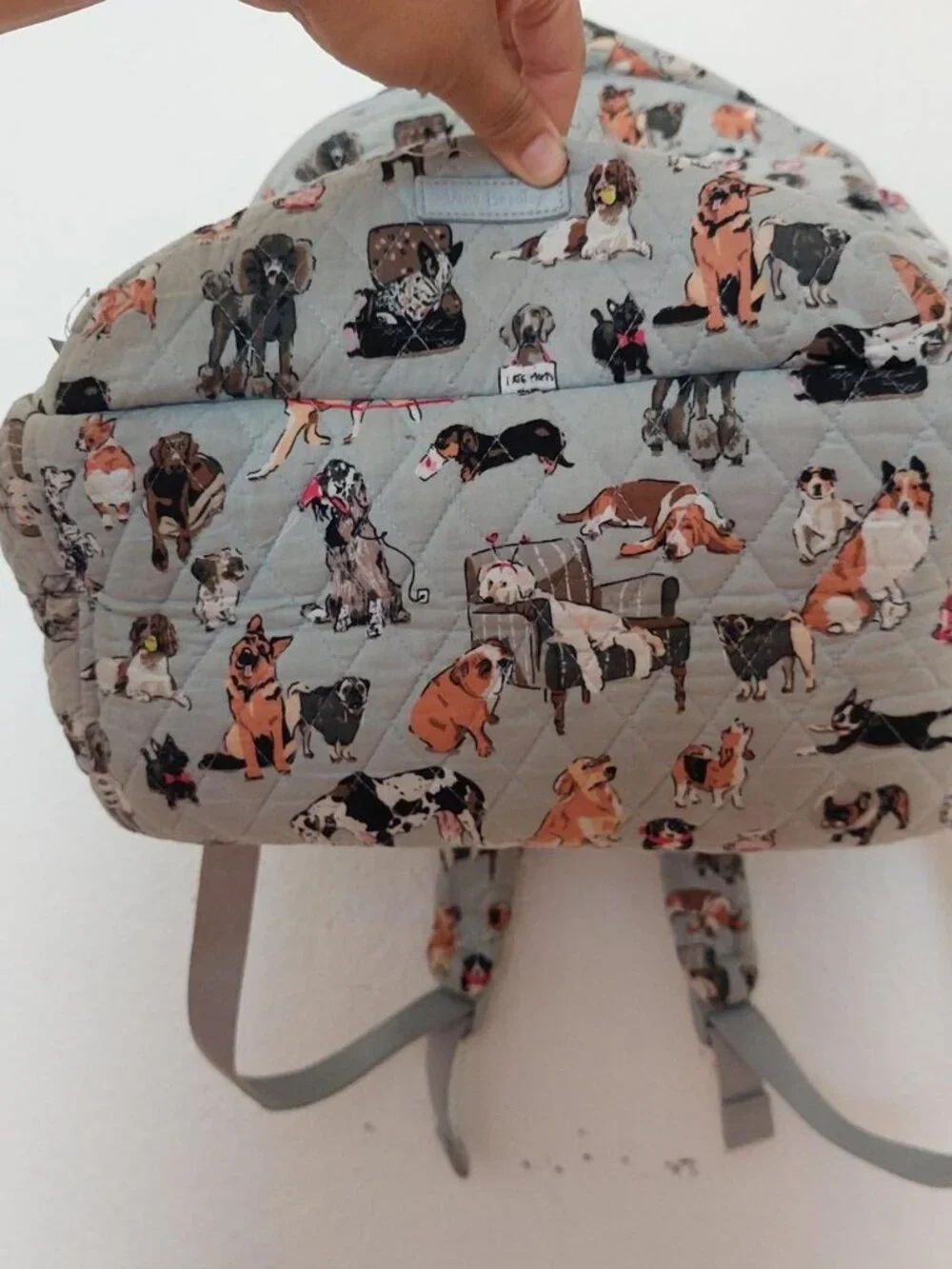 Vera Bradley dog show best in show backpack cotton gray cute kawaii back to scho